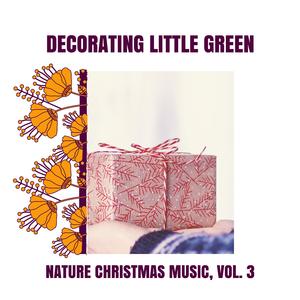 Graceful Ibis at Play