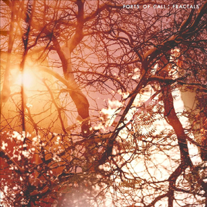 Selective Memory Machine