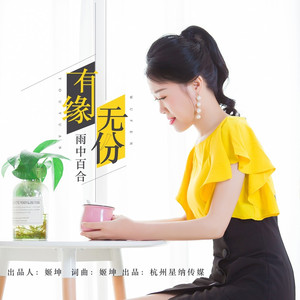 2025有缘无份 (DJ版)