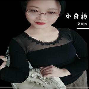 小白杨 伴奏