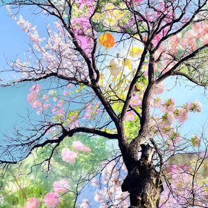 【免费可商用】枯木逢春 - 中国风 x Gunna x Guitar Type Beat