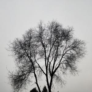 危险的关系（PROD BY GOAT MUSIC）