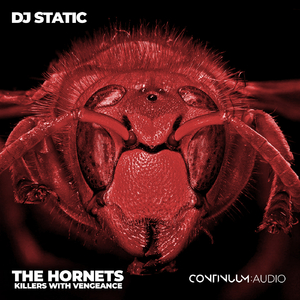 The Hornets (Killers With Vengeance) (No Fuxx Remix)