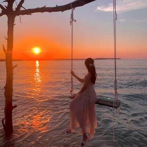 凤凰花开的路口抖音版