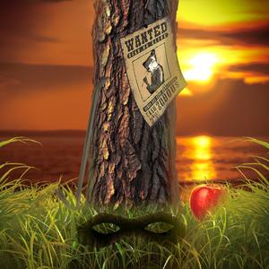 Selvagem | Fantástico Sr. Raposo