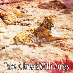 Calming Ocean Friends