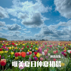 一去不回的时光 (天籁知音版)