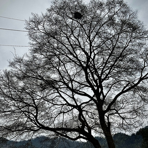 下载您的文件 — Convertio