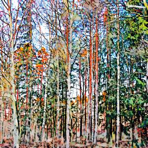 Paint the Morning Sky