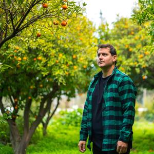 Keklik Kondu Kesmeye