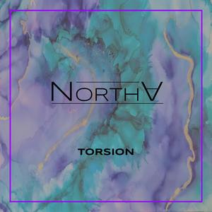 Torsion