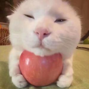 肚肚打雷了（撒旦版）