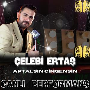 abdalsın cingensin (Canlı Performans)