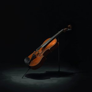 The Cellist's Ghost