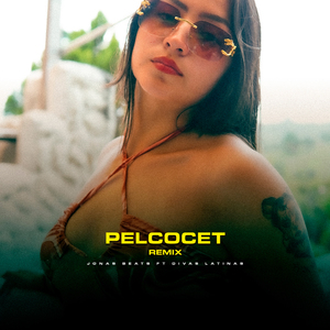 Pelcocet (Remix)