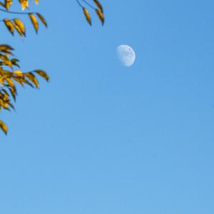 再也没有(怀念版)