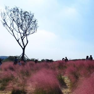 关于我们你遗憾吗