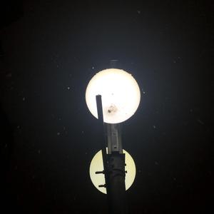 我的人生请让我做主