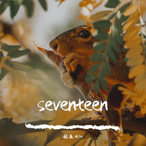 seventeen（Prod.T.F.G）