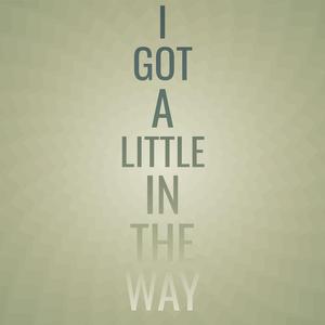 Ignominious Shorling