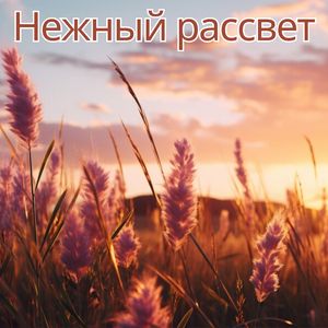 Звуки утренней тишины