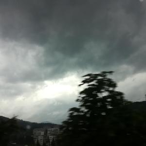 say Y（prod by LSY）