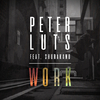 Peter Luts - Work (Extended Club Mix)
