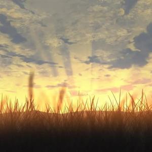 摇曳在空中的风筝