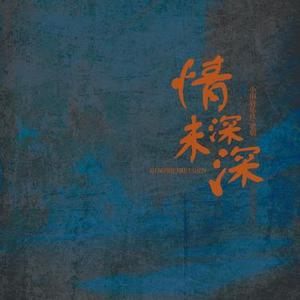 情深未深 (DJ名龙版)