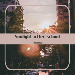 Sunlight After School
