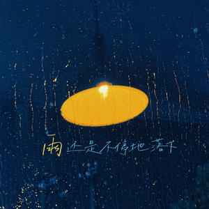 雨还是不停地落下