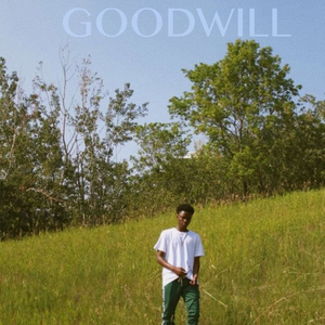 Collateral Damage Interlude