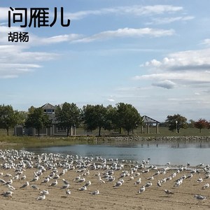 问雁儿