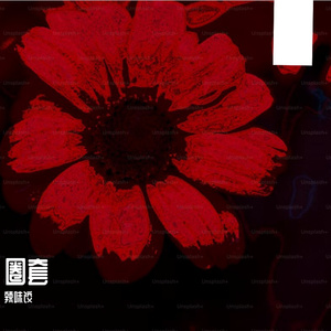 圈套