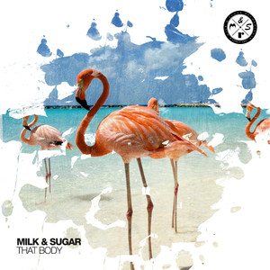 That Body (Original Mix)