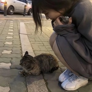 幸福昭昭如流水