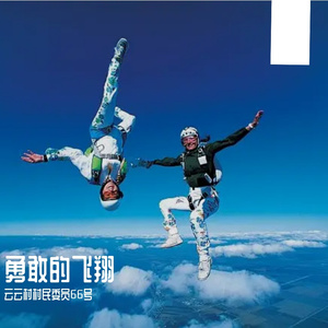 勇敢的飞翔