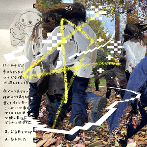 感情と自己理解の織り成す詩的考察。