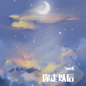 你走以后