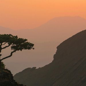 破晓的希望之歌 伴奏