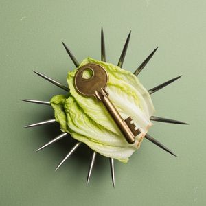 The Bronze Paperweight (Take 2)