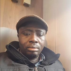 Root Reggae Vibration