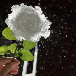 雪玫瑰（Prod.MORROW）