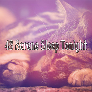 Rain with Quiet Bird Chorus