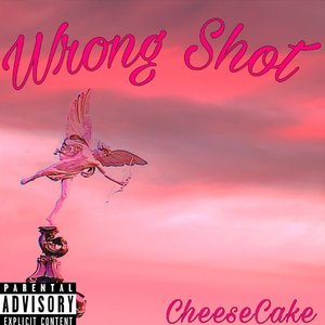 Wrong Shot (slowed&high pitch vision)