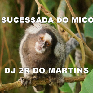 Sucessada do Mico (Remix)