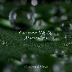 El Hechizo del Crepúsculo en Flor