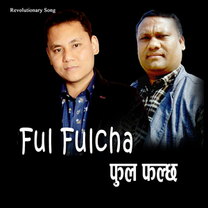Ful Fulcha