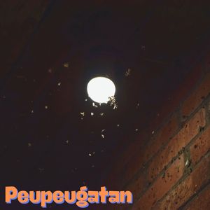 Peupeugatan