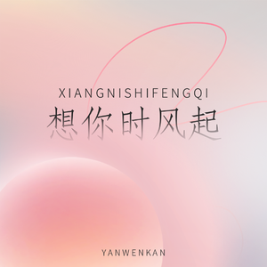 想你时风起